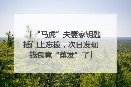 “马虎”夫妻家钥匙插门上忘拔，次日发现钱包竟“蒸发”了